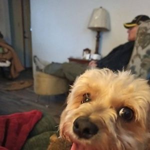 Meet your Posher, Lorrie